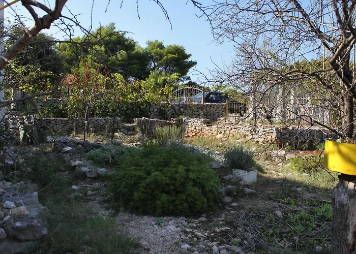 With A Parking Space Rogac, Solta - 5165 Daire