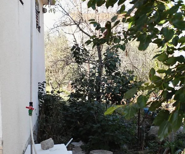 With A Parking Space Rogac, Solta - 5165 * Grohote